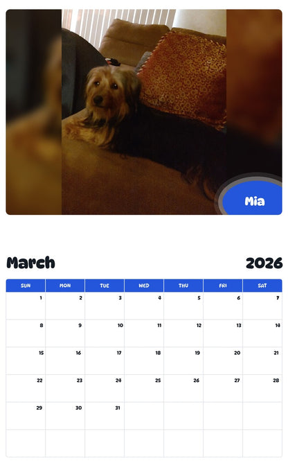 November 2025 - October 2026 Mia - Pawidols Pet Calendar