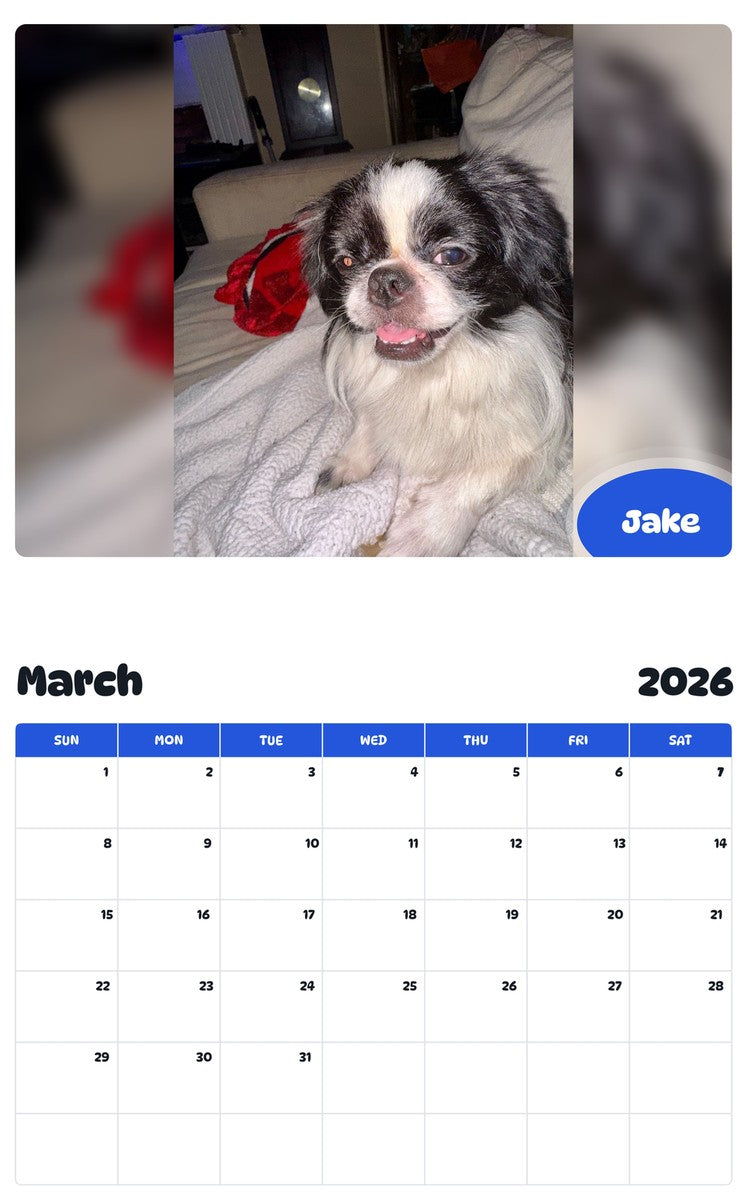 November 2025 - October 2026 Jake - Pawidols Pet Calendar