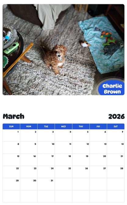 November 2025 - October 2026 Charlie Brown - Pawidols Pet Calendar