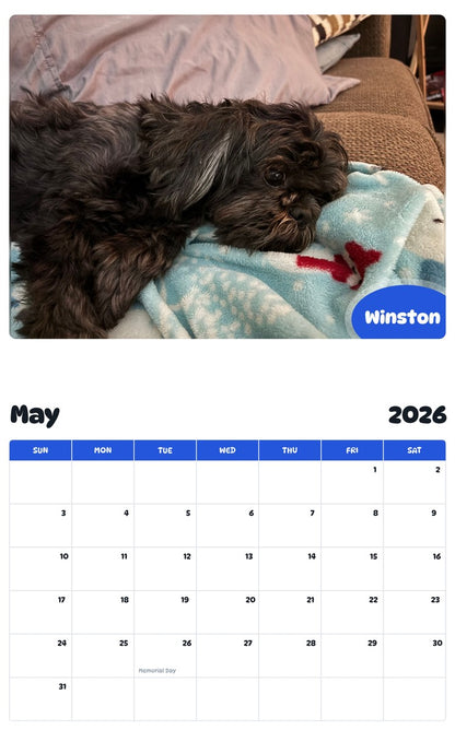 2026 - 2027 Winston - Pawidols Pet Calendar
