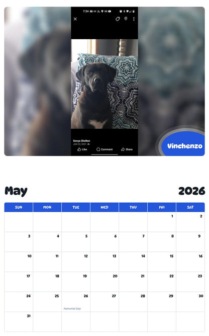2026 - 2027 Vinchenzo - Pawidols Pet Calendar