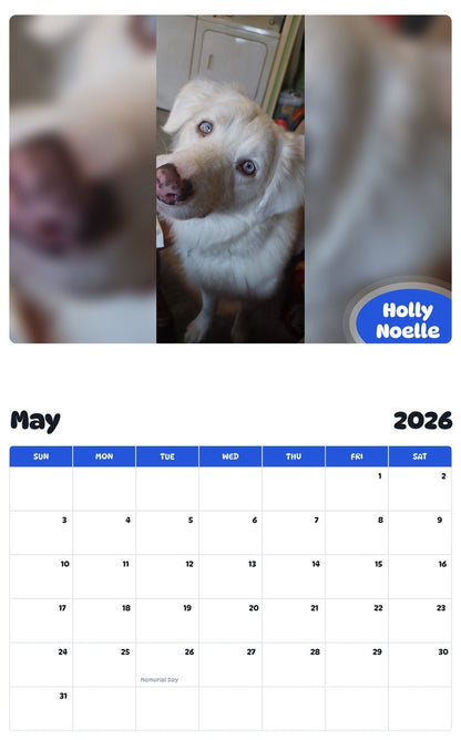 2026 - 2027 Holly Noelle - Pawidols Pet Calendar