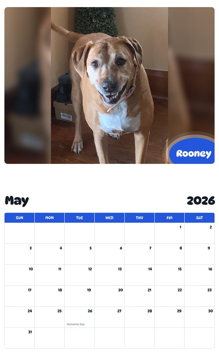 2026 - 2027 Rooney - Pawidols Pet Calendar
