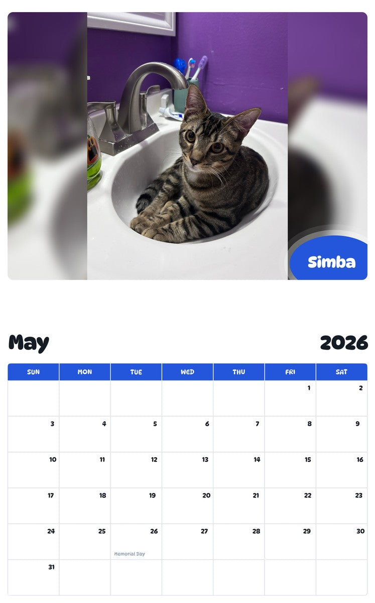 2026 - 2027 Simba - Pawidols Pet Calendar