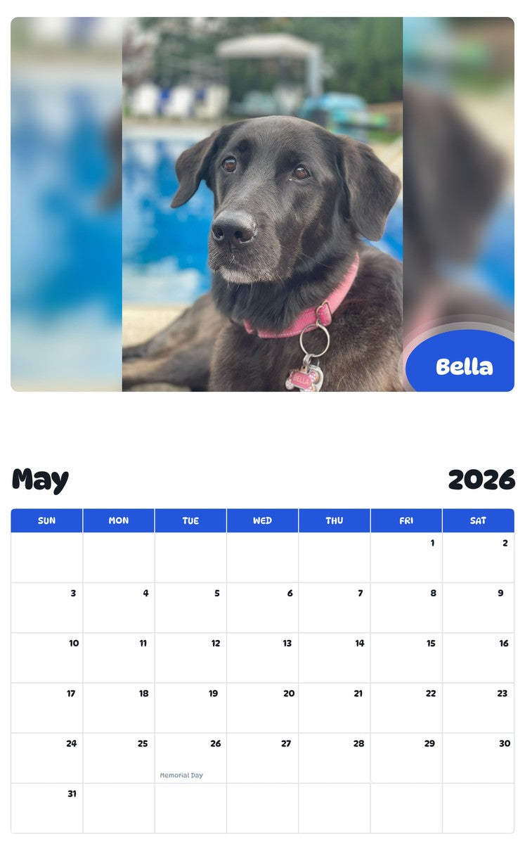 2026 - 2027 Bella - Pawidols Pet Calendar