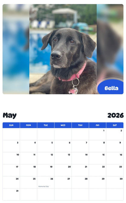 2026 - 2027 Bella - Pawidols Pet Calendar