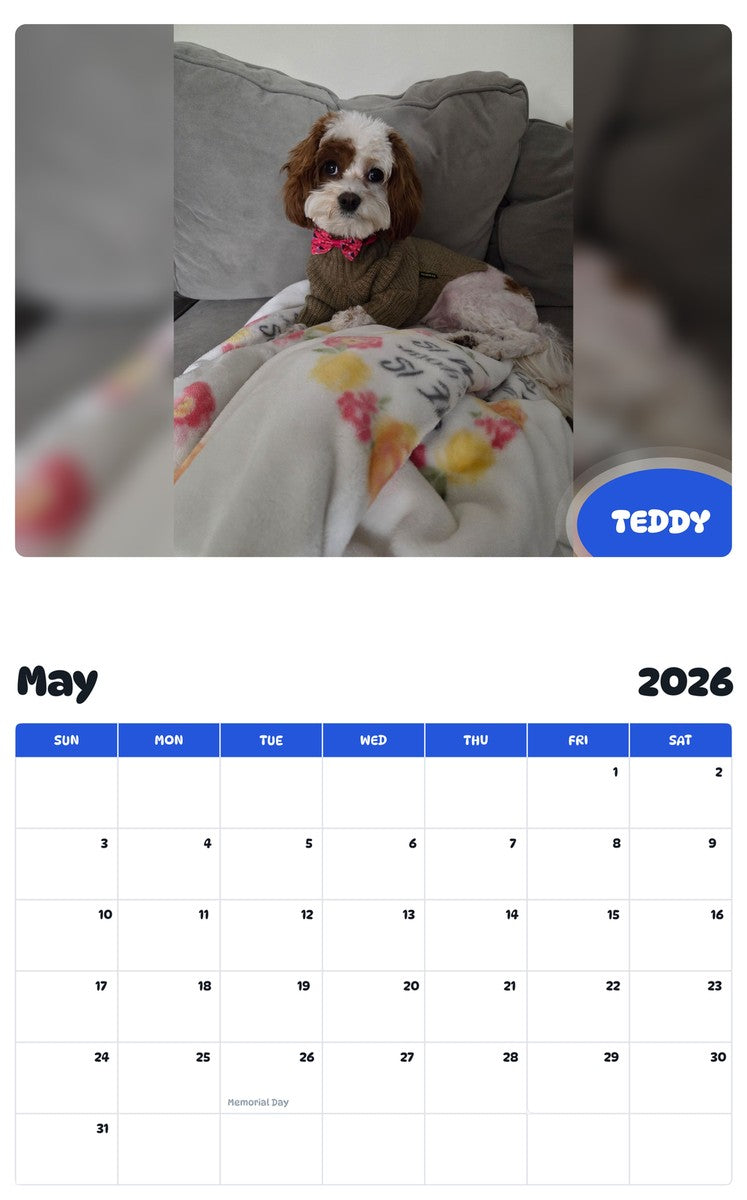 2026 - 2027 TEDDY - Pawidols Pet Calendar
