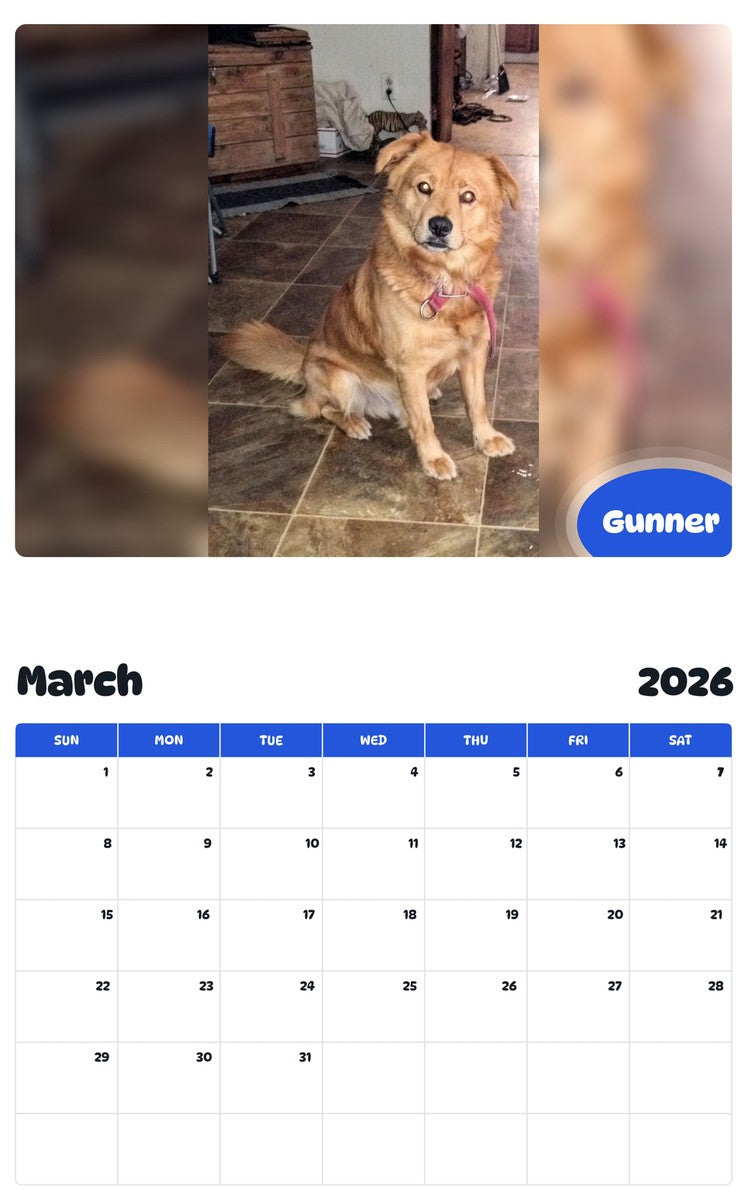 November 2025 - October 2026 Gunner - Pawidols Pet Calendar
