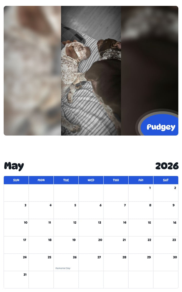 2026 - 2027 Pudgey - Pawidols Pet Calendar