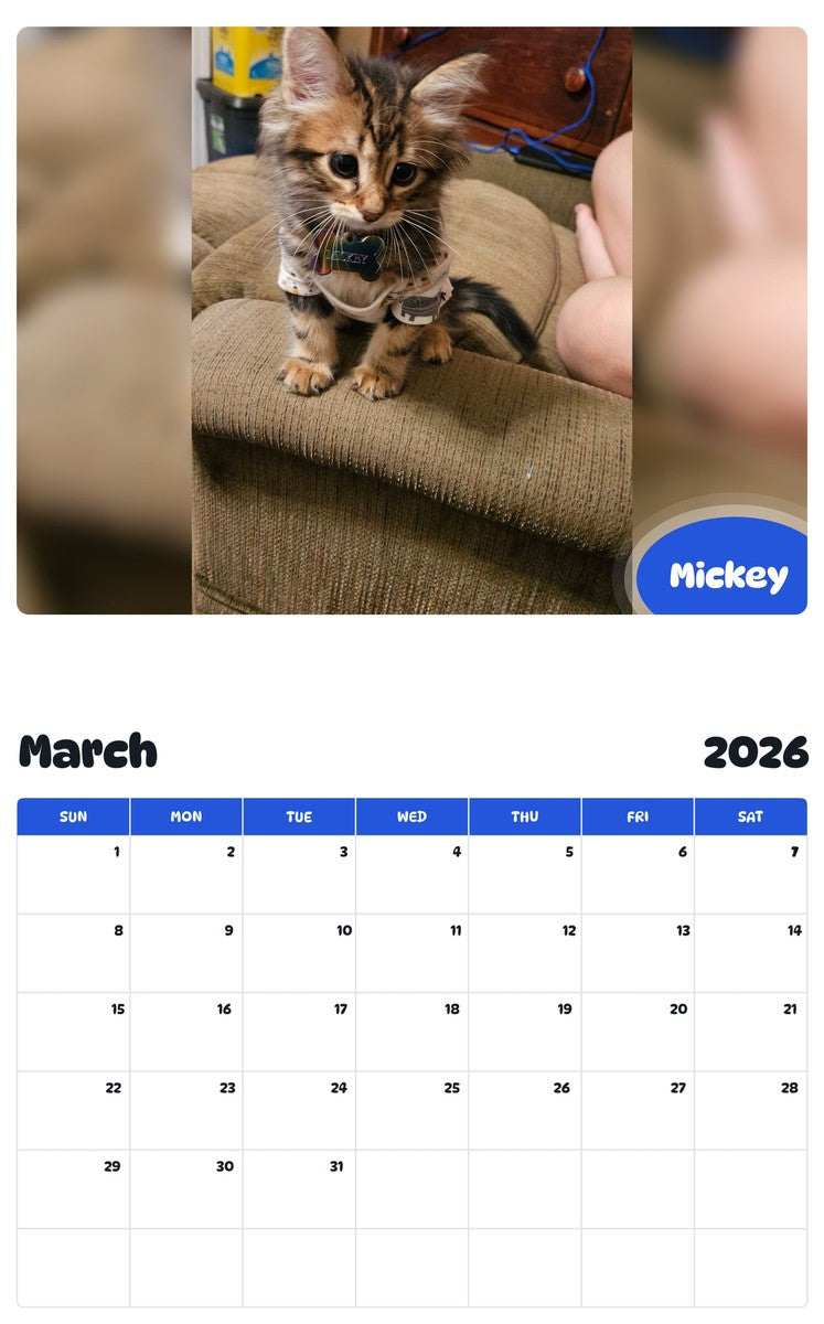 November 2025 - October 2026 Mickey - Pawidols Pet Calendar