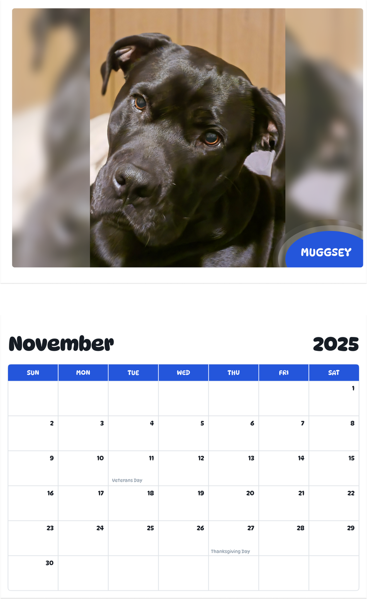July 2025 - June 2026 Muggsey - Pawidols Pet Calendar