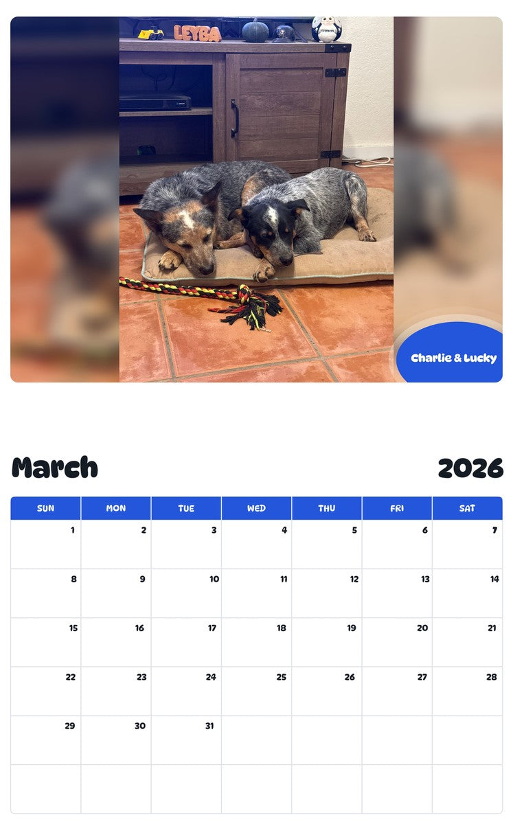 November 2025 - October 2026 Charlie & Lucky - Pawidols Pet Calendar