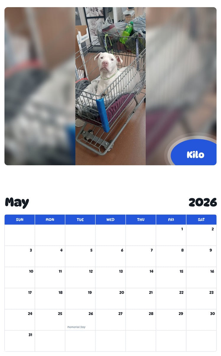 2026 - 2027 Kilo - Pawidols Pet Calendar