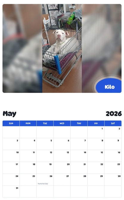 2026 - 2027 Kilo - Pawidols Pet Calendar