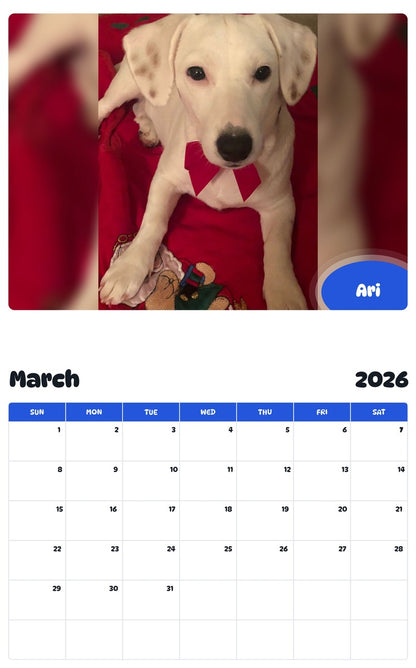 November 2025 - October 2026 Ari - Pawidols Pet Calendar