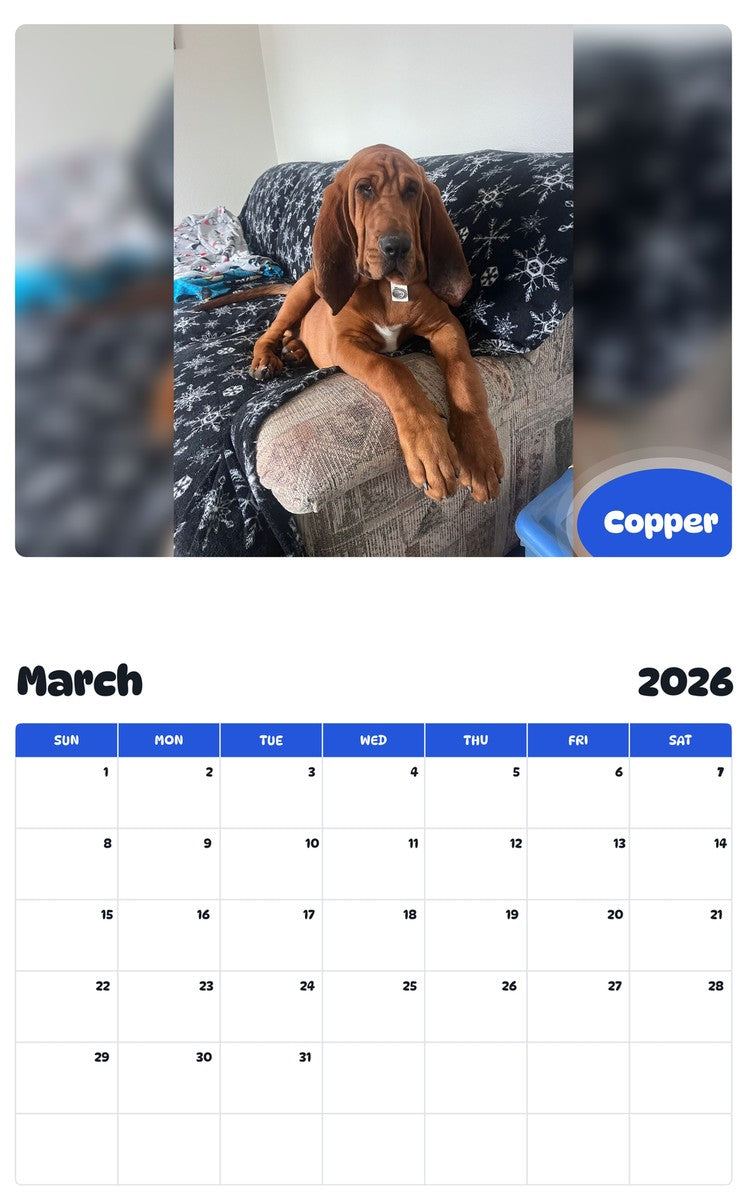 November 2025 - October 2026 Copper - Pawidols Pet Calendar
