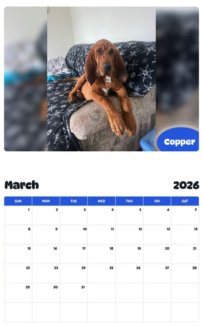 November 2025 - October 2026 Copper - Pawidols Pet Calendar