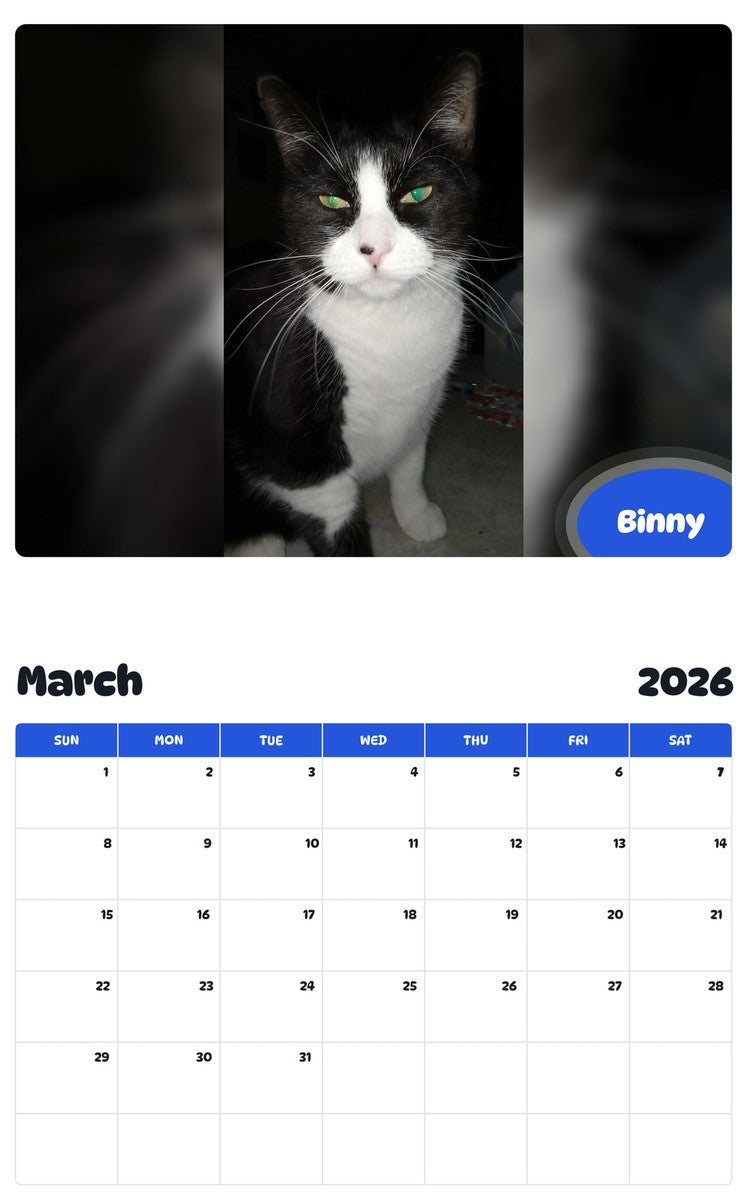 November 2025 - October 2026 Binny - Pawidols Pet Calendar