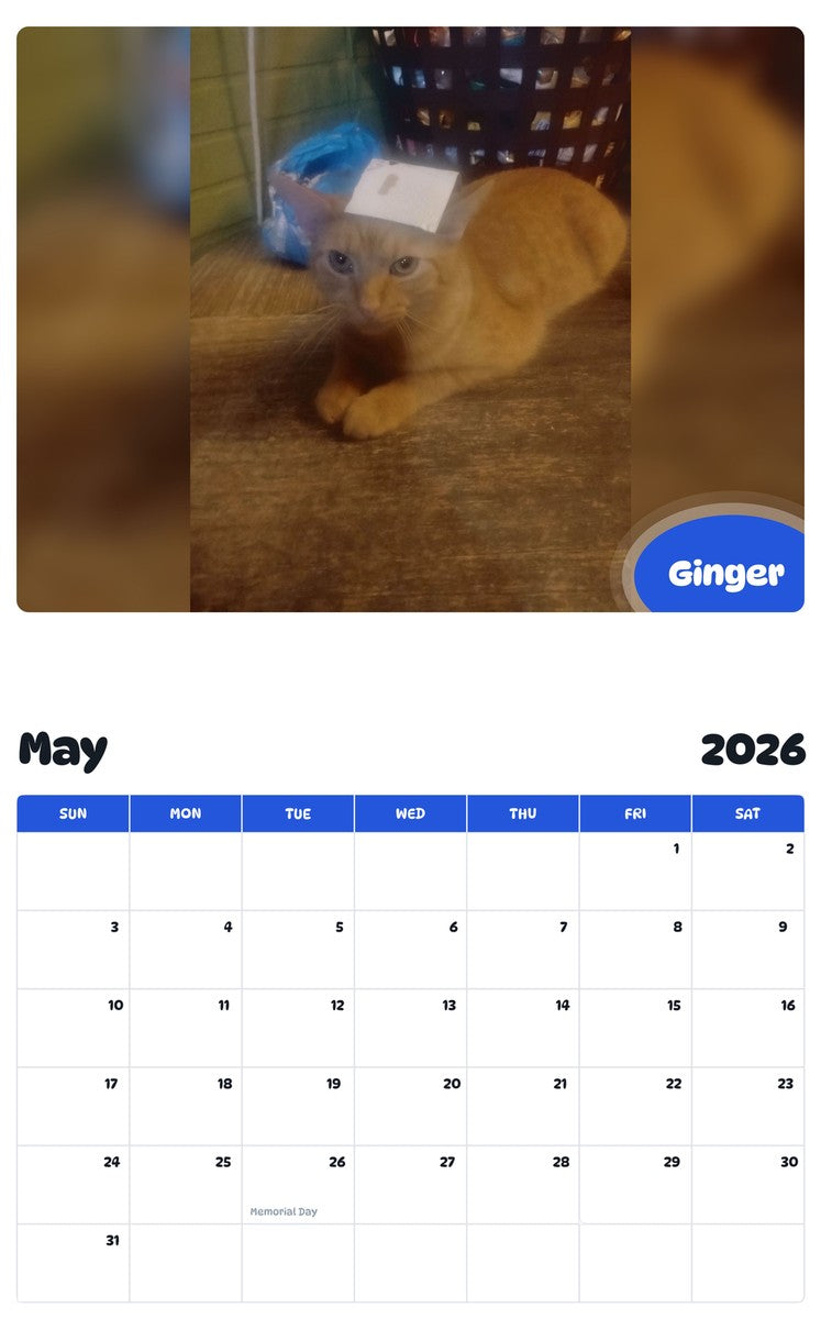 2026 - 2027 Ginger - Pawidols Pet Calendar