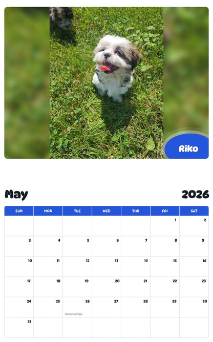 2026 - 2027 Riko - Pawidols Pet Calendar