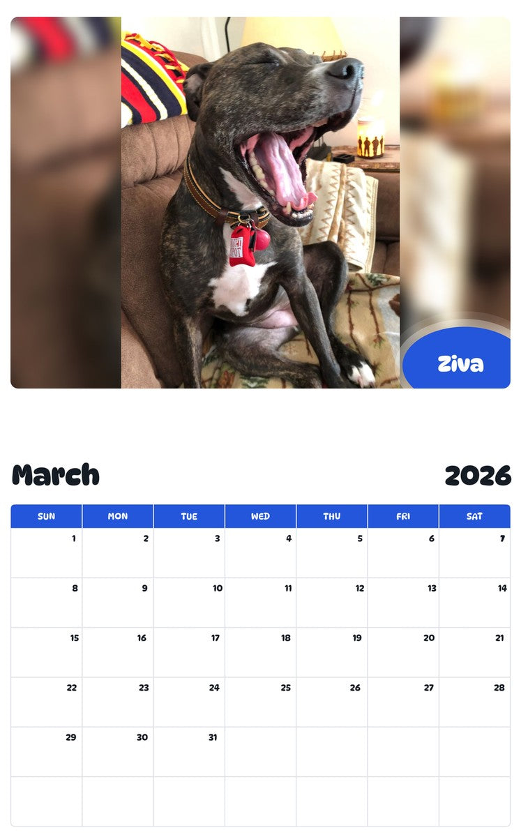 November 2025 - October 2026 Ziva - Pawidols Pet Calendar