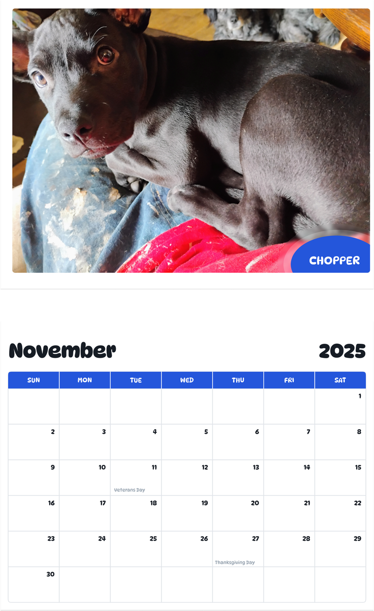 July 2025 - June 2026 Chopper - Pawidols Pet Calendar