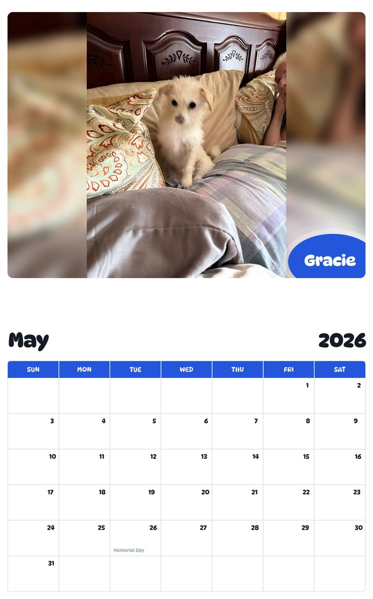 2026 - 2027 Gracie - Pawidols Pet Calendar