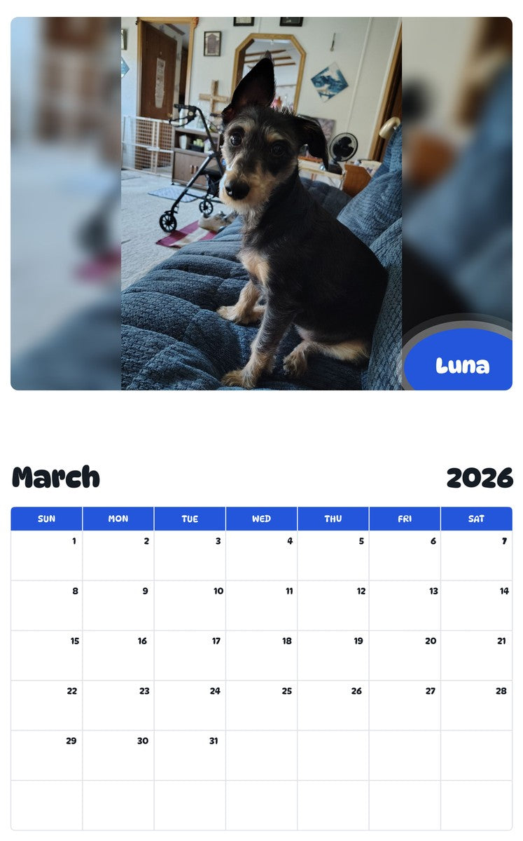November 2025 - October 2026 Luna - Pawidols Pet Calendar