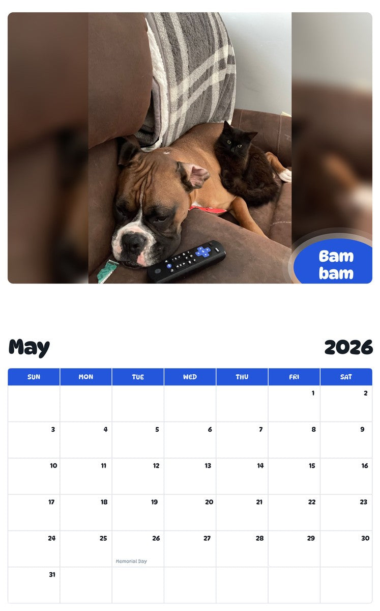 2026 - 2027 Bam bam - Pawidols Pet Calendar