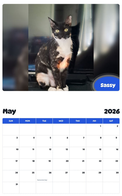 2026 - 2027 Sassy - Pawidols Pet Calendar