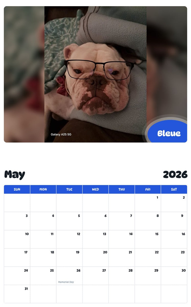 2026 - 2027 Bleue - Pawidols Pet Calendar
