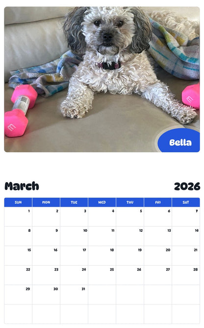 November 2025 - October 2026 Bella - Pawidols Pet Calendar
