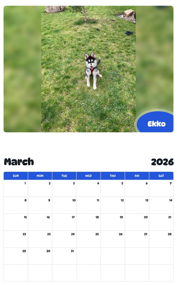 November 2025 - October 2026 Ekko - Pawidols Pet Calendar