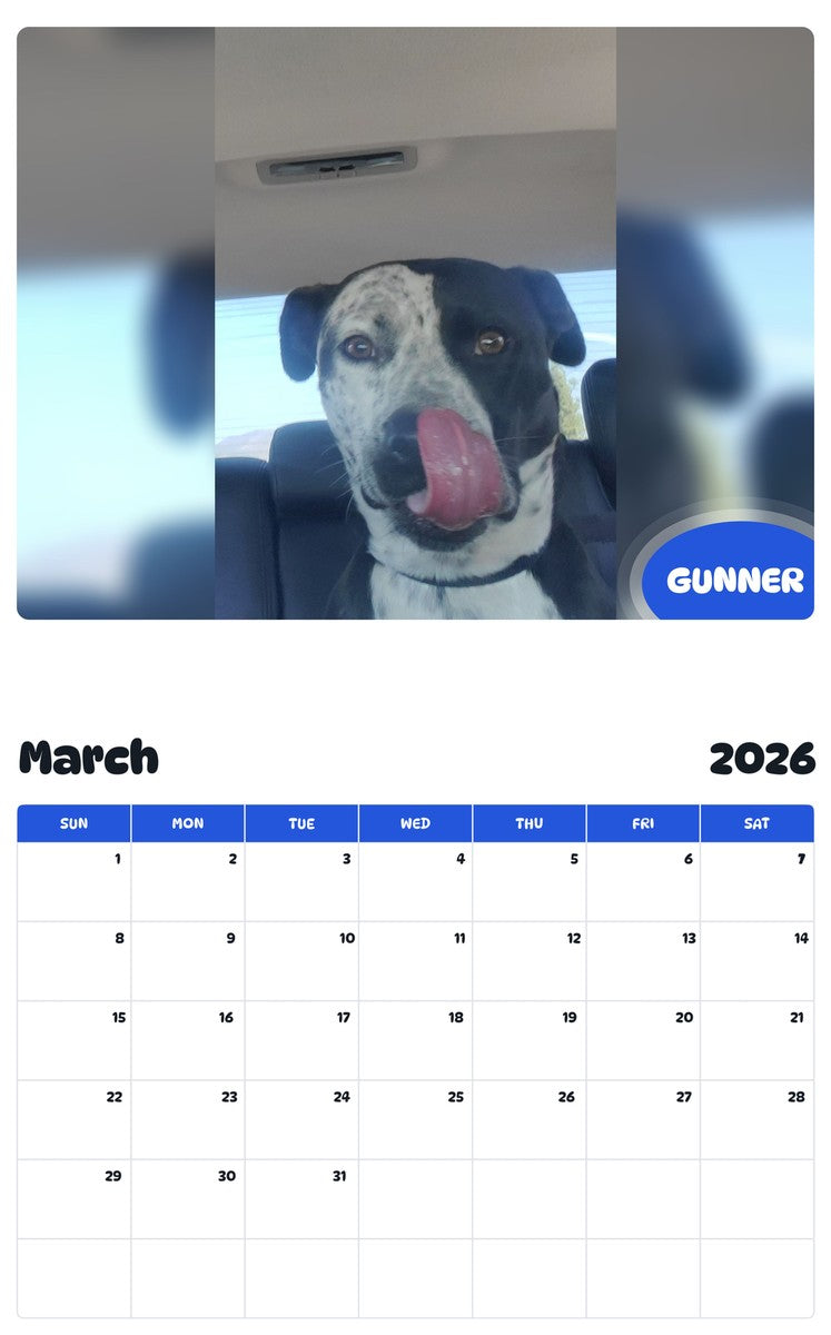 November 2025 - October 2026 GUNNER - Pawidols Pet Calendar
