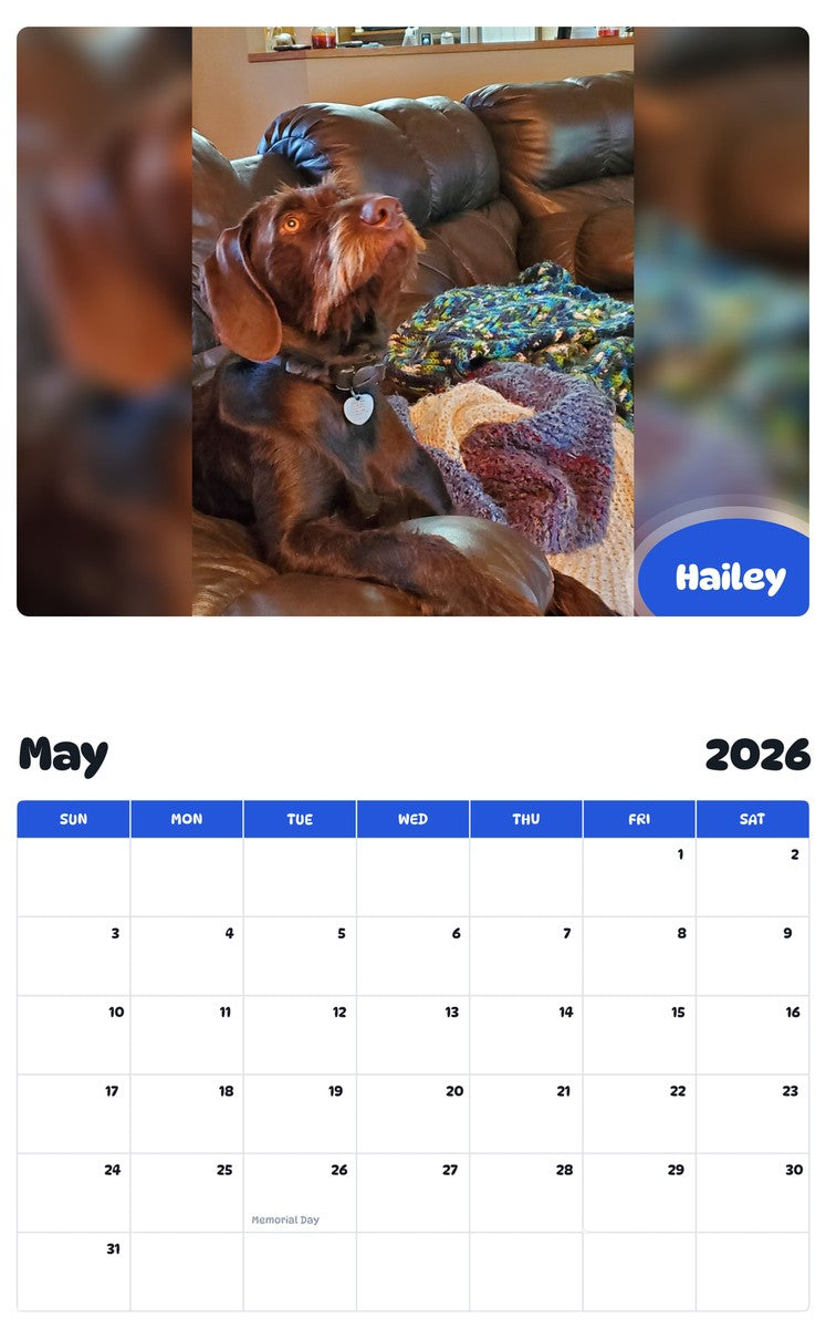2026 - 2027 Hailey - Pawidols Pet Calendar