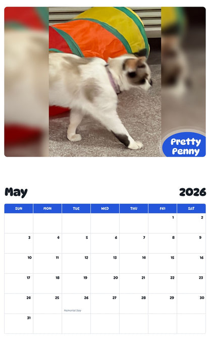 2026 - 2027 Pretty Penny - Pawidols Pet Calendar