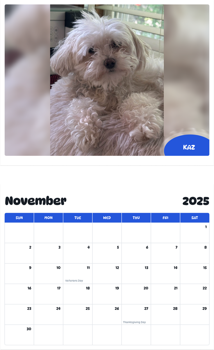 July 2025 - June 2026 Kaz - Pawidols Pet Calendar