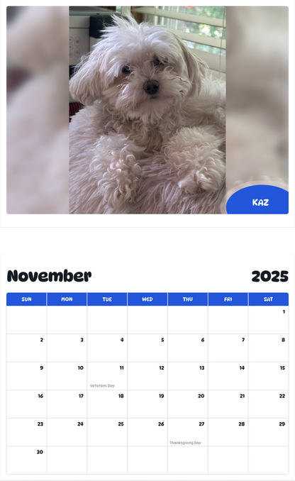 July 2025 - June 2026 Kaz - Pawidols Pet Calendar
