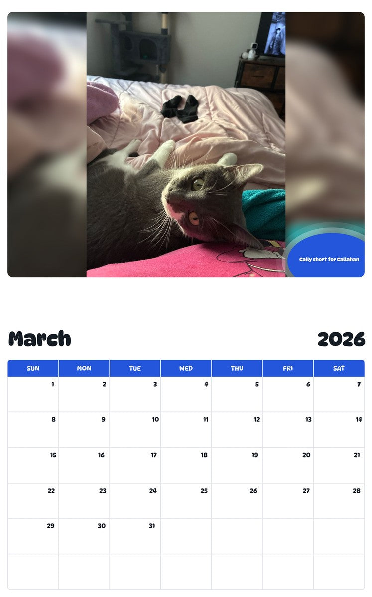 November 2025 - October 2026 Cally short for Callahan - Pawidols Pet Calendar