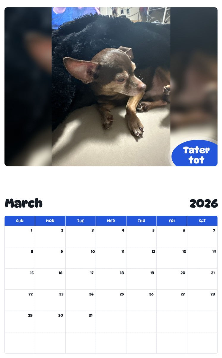 November 2025 - October 2026 Tater tot - Pawidols Pet Calendar