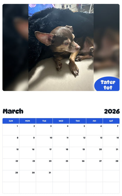 November 2025 - October 2026 Tater tot - Pawidols Pet Calendar
