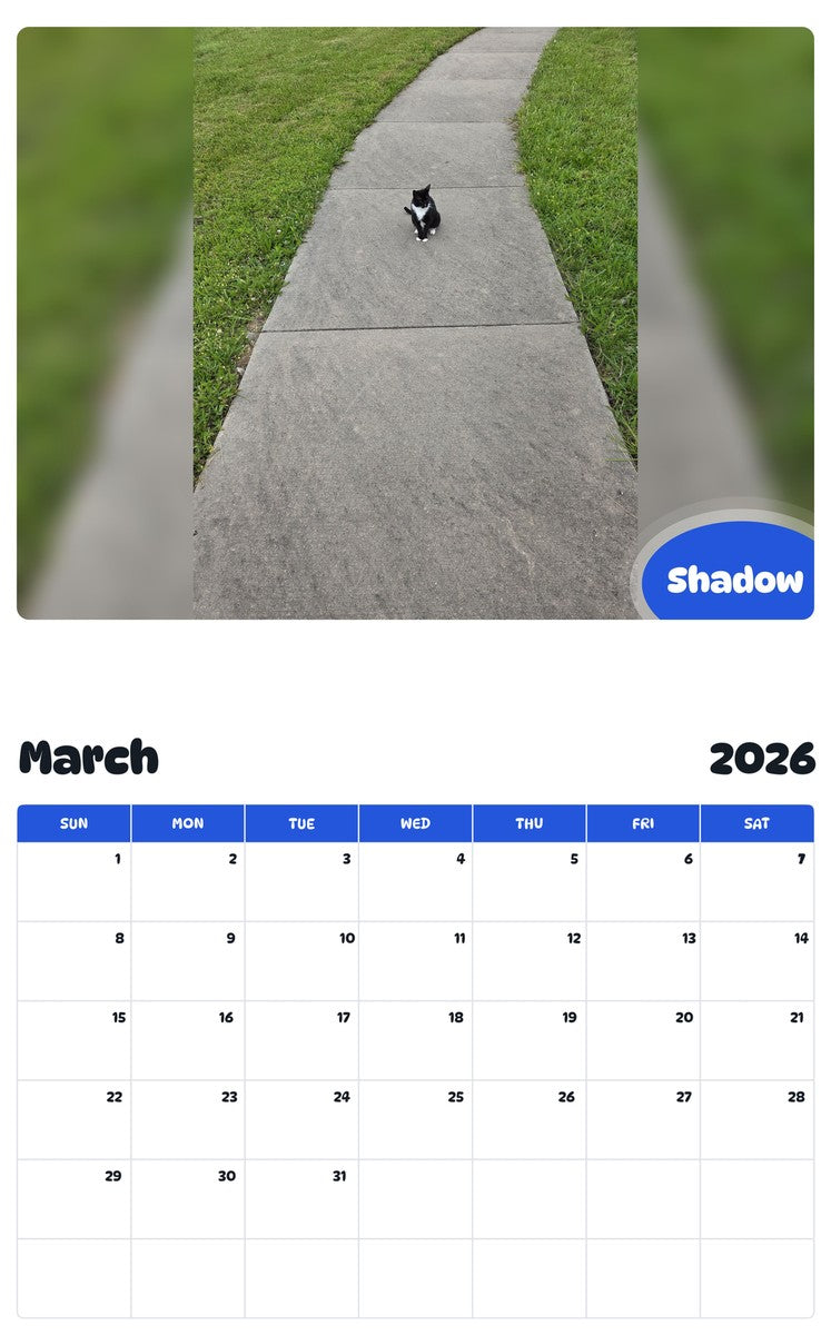 November 2025 - October 2026 Shadow - Pawidols Pet Calendar
