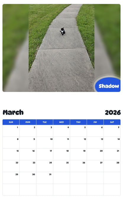 November 2025 - October 2026 Shadow - Pawidols Pet Calendar