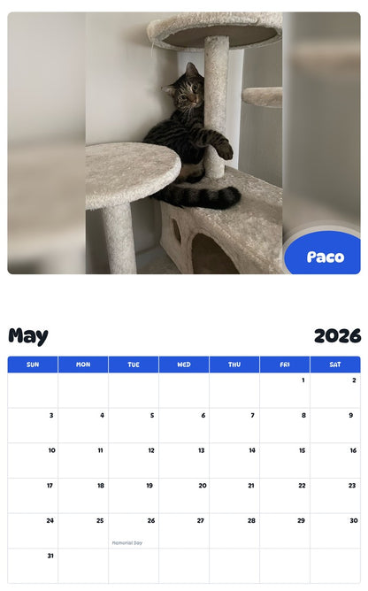 2026 - 2027 Paco - Pawidols Pet Calendar