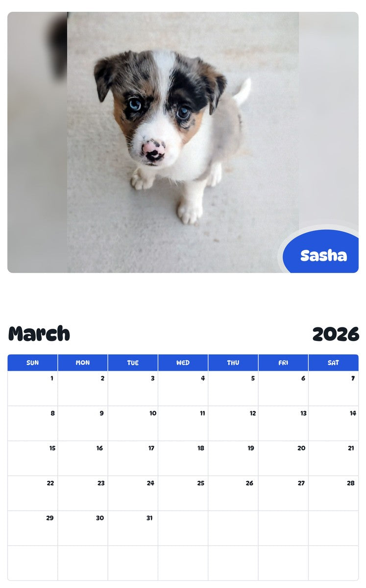 November 2025 - October 2026 Sasha - Pawidols Pet Calendar