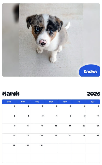November 2025 - October 2026 Sasha - Pawidols Pet Calendar