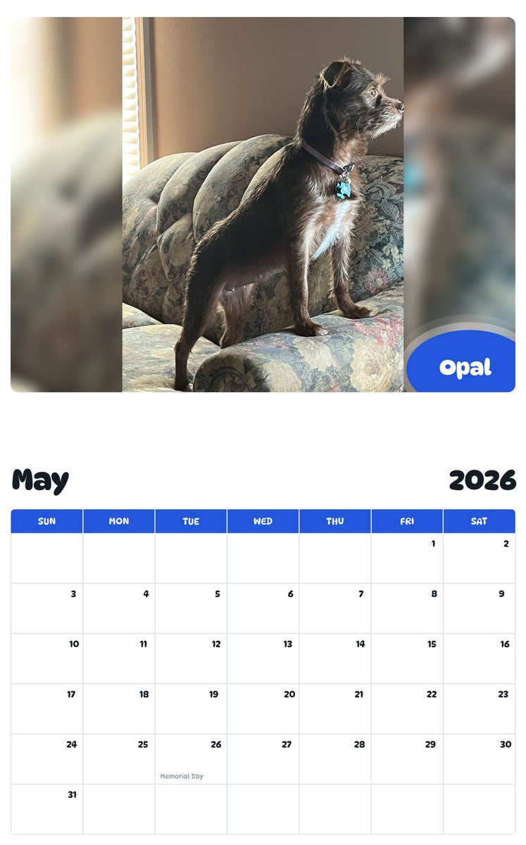 2026 - 2027 Opal - Pawidols Pet Calendar