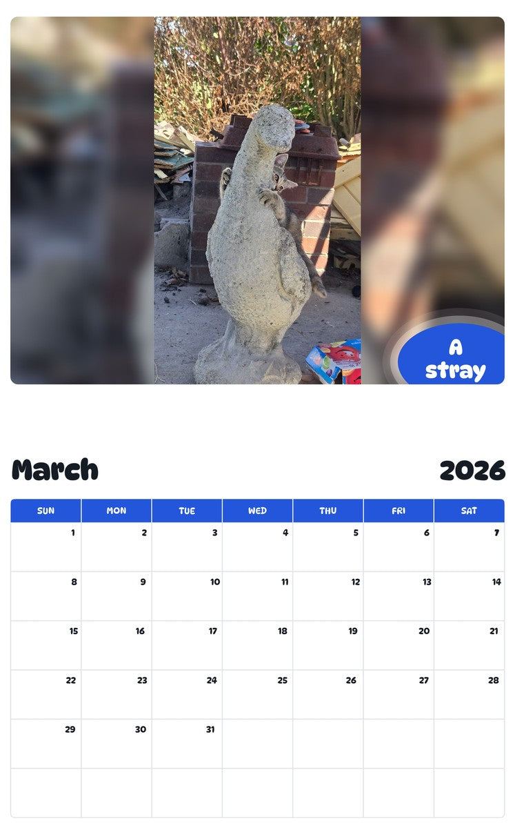 November 2025 - October 2026 A stray - Pawidols Pet Calendar