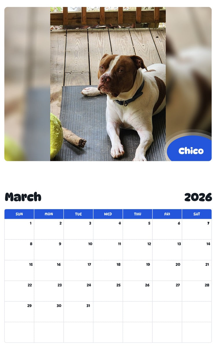 November 2025 - October 2026 Chico - Pawidols Pet Calendar