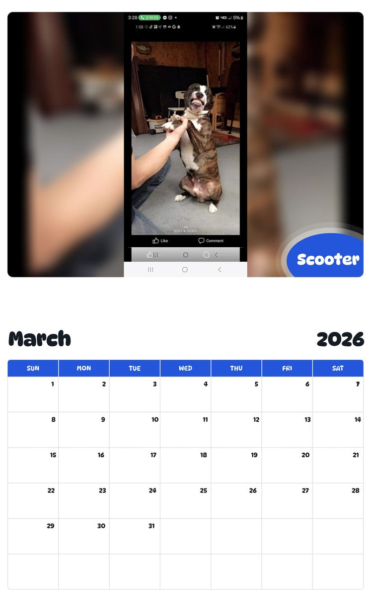 November 2025 - October 2026 Scooter - Pawidols Pet Calendar